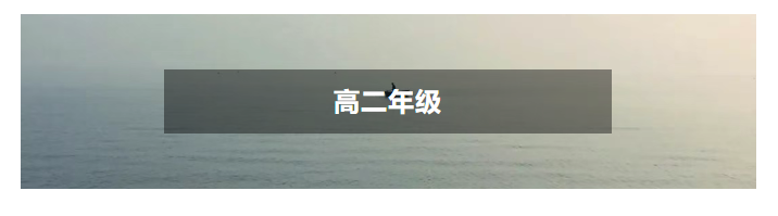 9f7efd0a1ea4cd8aa74af9d36506ed8.png